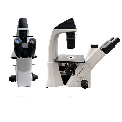 China 100 - sistema óptico Trinocular invertido LED del microscopio biológico de 400X proveedor