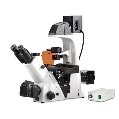 China Trinocular invirtió el microscopio biológico del contraste de la fase de la fluorescencia de Epi del microscopio biológico proveedor